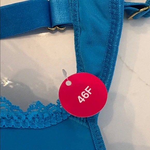 Butterfly by Ashley Stewart Blue Full Coverage Bra Sz 46F NWT - Picture 4 of 5